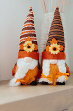 Load image into Gallery viewer, Fall Flowers Gnomes Set of 2