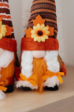 Load image into Gallery viewer, Fall Flowers Gnomes Set of 2